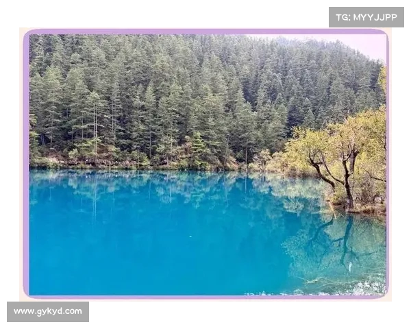 闪金石窟探秘指南:七彩秘境的游览攻略 闪金石窟探秘指南:七彩秘境的游览攻略